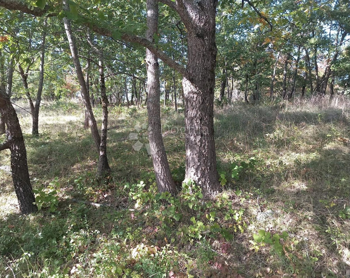Parcela Na predaj - ZADARSKA GRAČAC