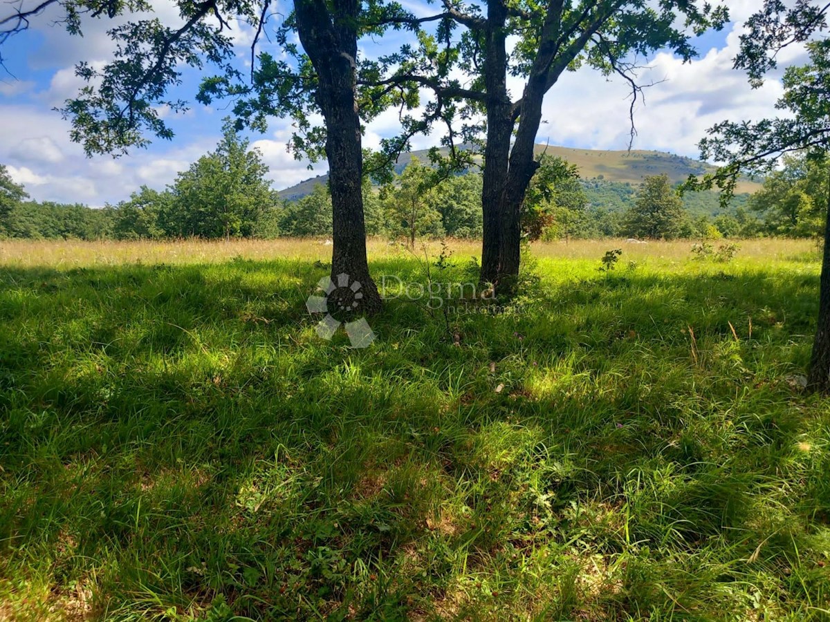 Parcela Na predaj - ZADARSKA GRAČAC