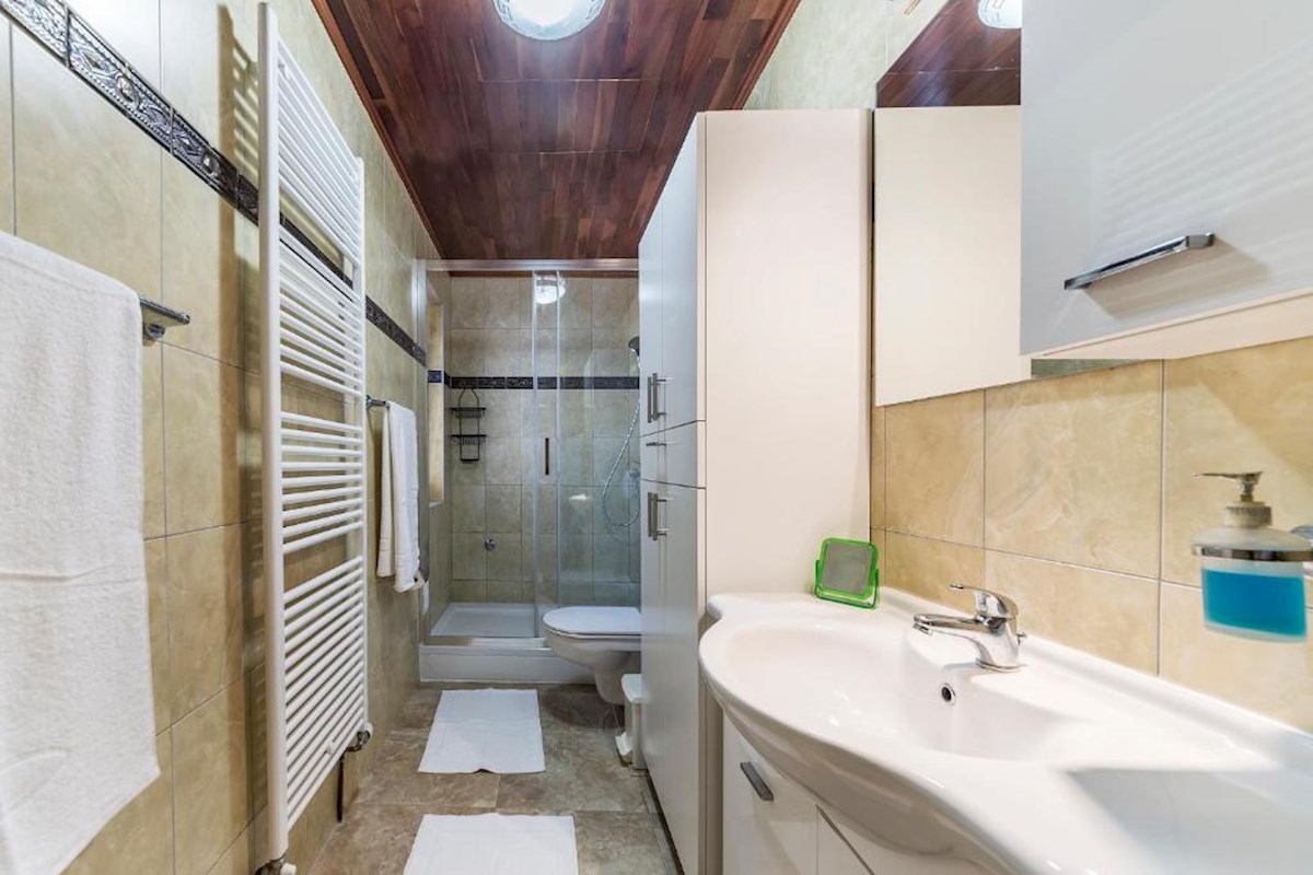 House For sale - ISTARSKA MEDULIN