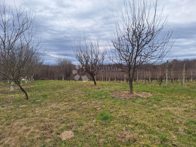 Terreno In vendita - Međimurska Gornji Mihaljevec - foto 2/13