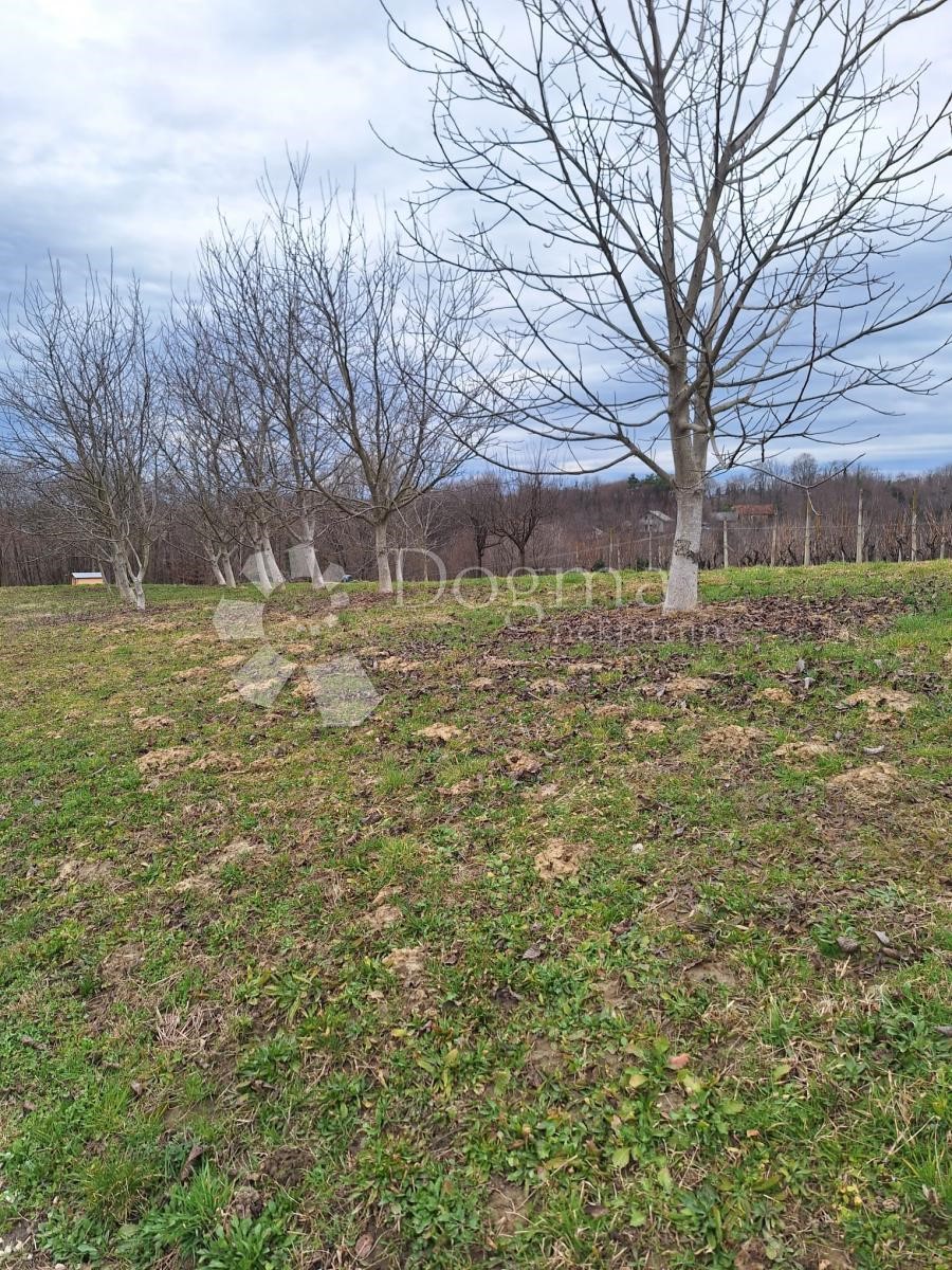 Terreno In vendita VUKANOVEC