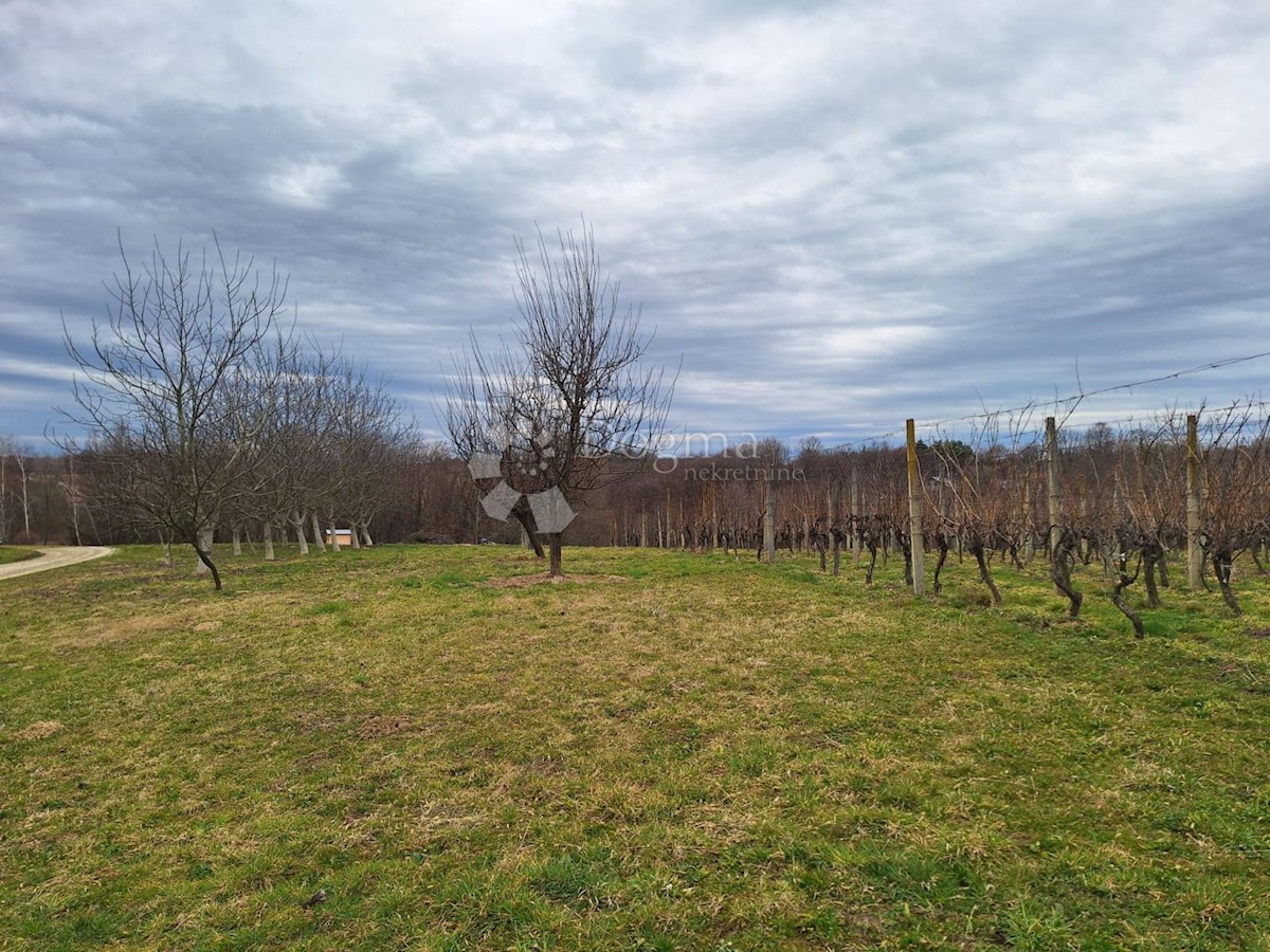 Terreno In vendita - MEĐIMURSKA GORNJI MIHALJEVEC