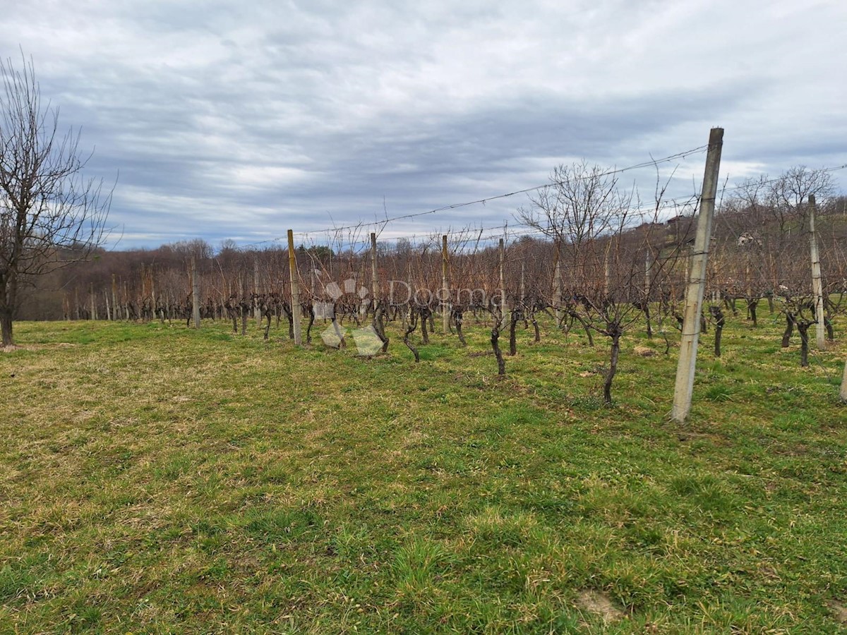 Terreno In vendita - MEĐIMURSKA GORNJI MIHALJEVEC