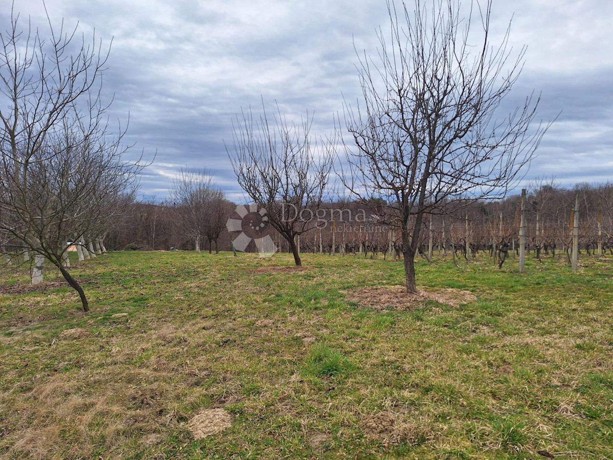 Land For sale - MEĐIMURSKA GORNJI MIHALJEVEC