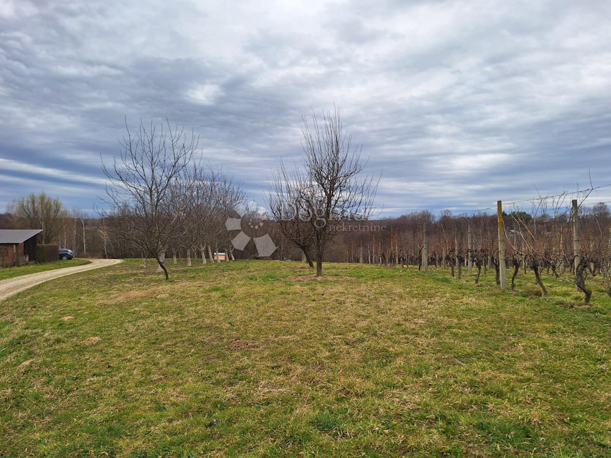 Terreno In vendita - MEĐIMURSKA GORNJI MIHALJEVEC