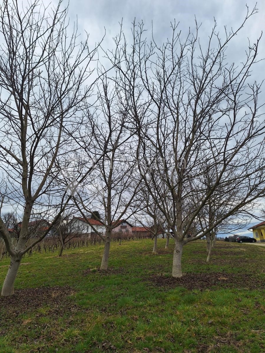 Terreno In vendita - MEĐIMURSKA GORNJI MIHALJEVEC