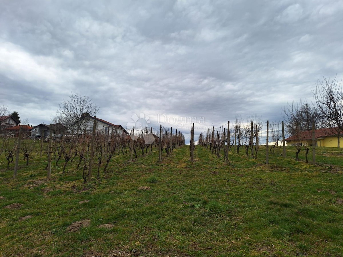 Zemljište Na prodaju - MEĐIMURSKA GORNJI MIHALJEVEC