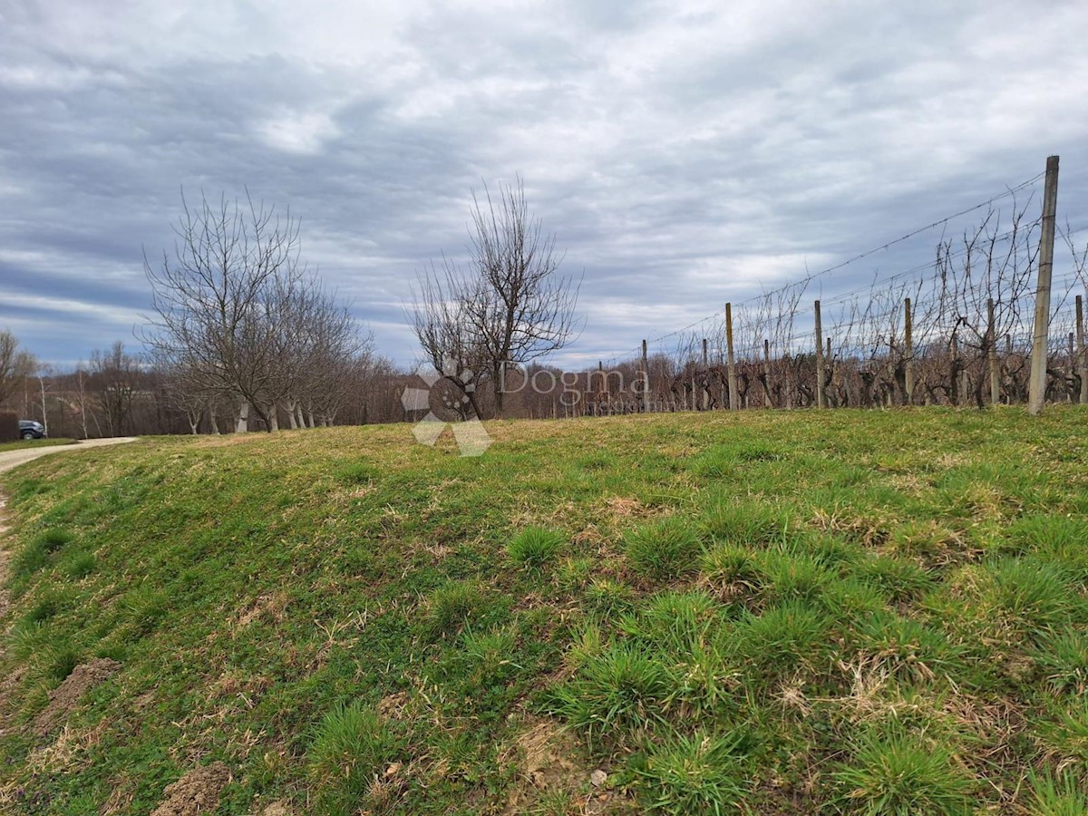 Terreno In vendita - MEĐIMURSKA GORNJI MIHALJEVEC