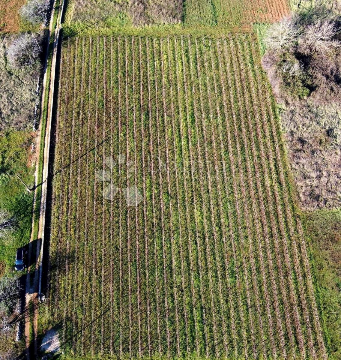 Terreno In vendita - Splitsko-dalmatinska Marina