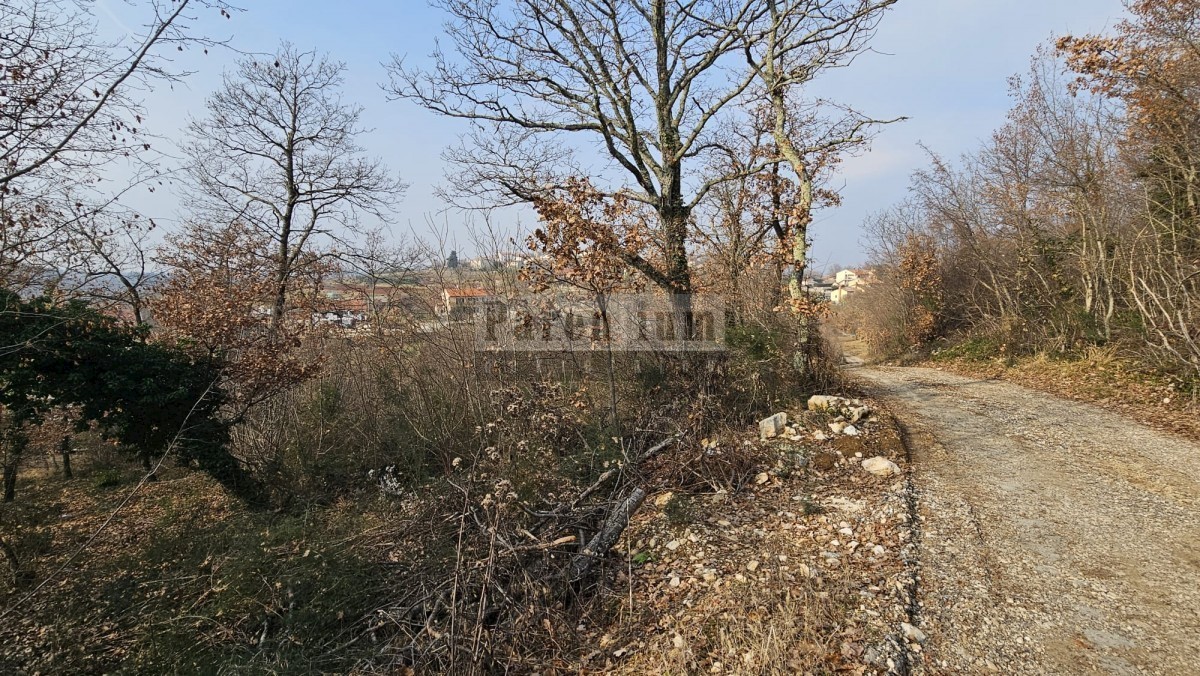 Land For sale - ISTARSKA VIŽINADA