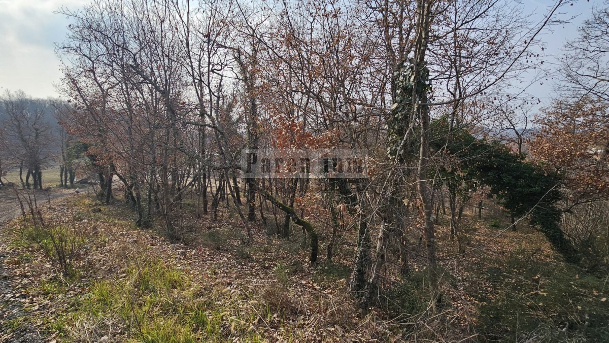 Land For sale - ISTARSKA VIŽINADA