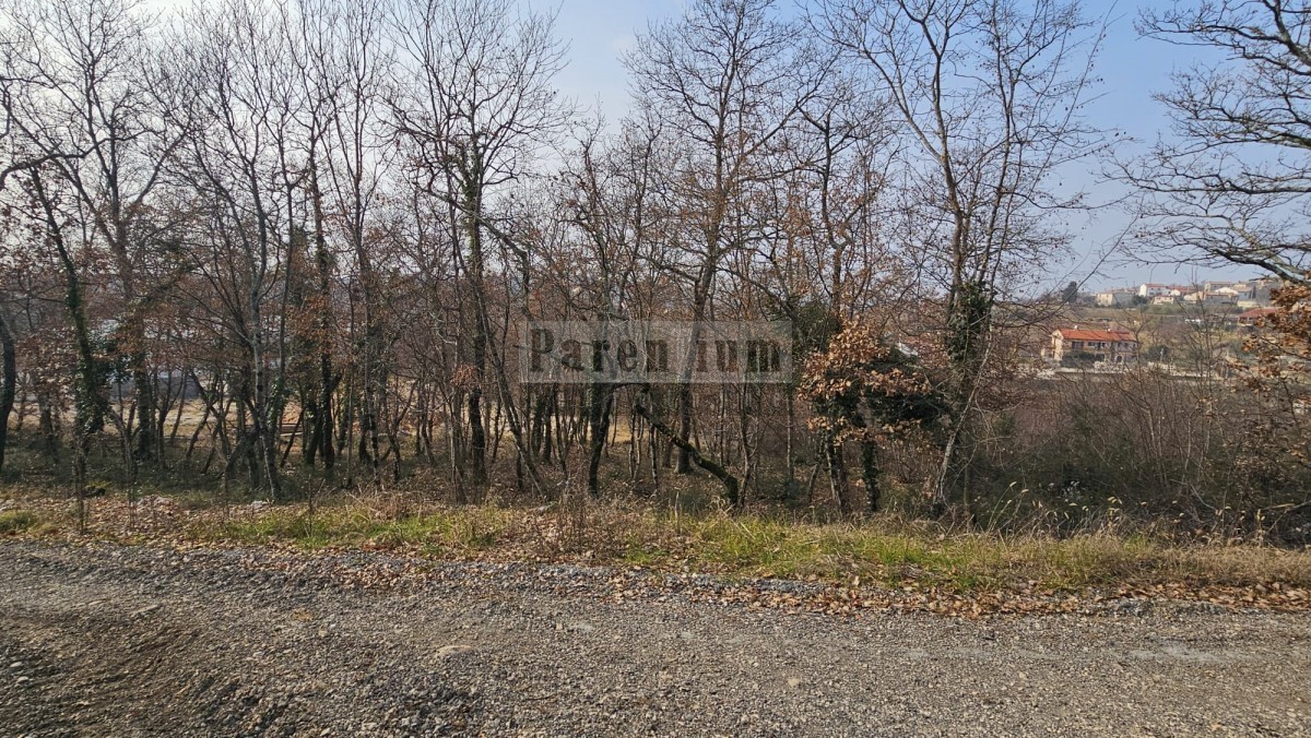 Land For sale - ISTARSKA VIŽINADA