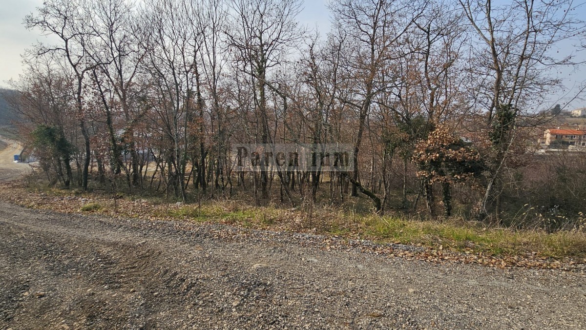 Land For sale - ISTARSKA VIŽINADA