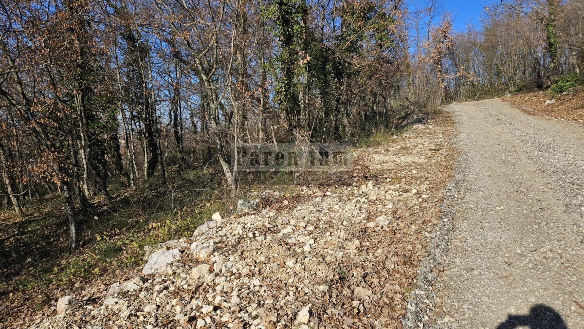 Land For sale - ISTARSKA VIŽINADA