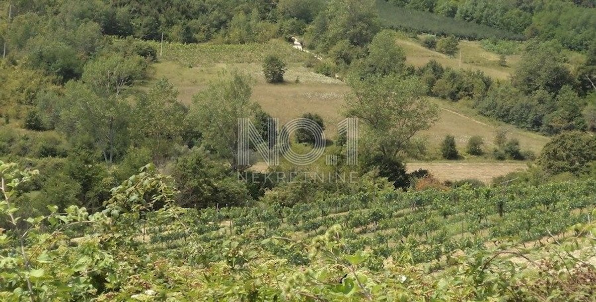 Terreno In vendita NOVAKI MOTOVUNSKI