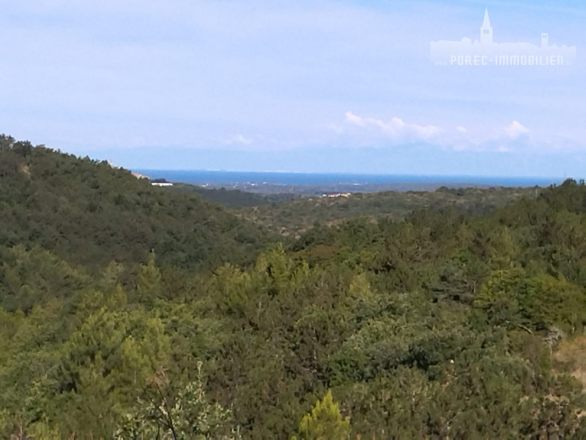 Land For sale - ISTARSKA GROŽNJAN