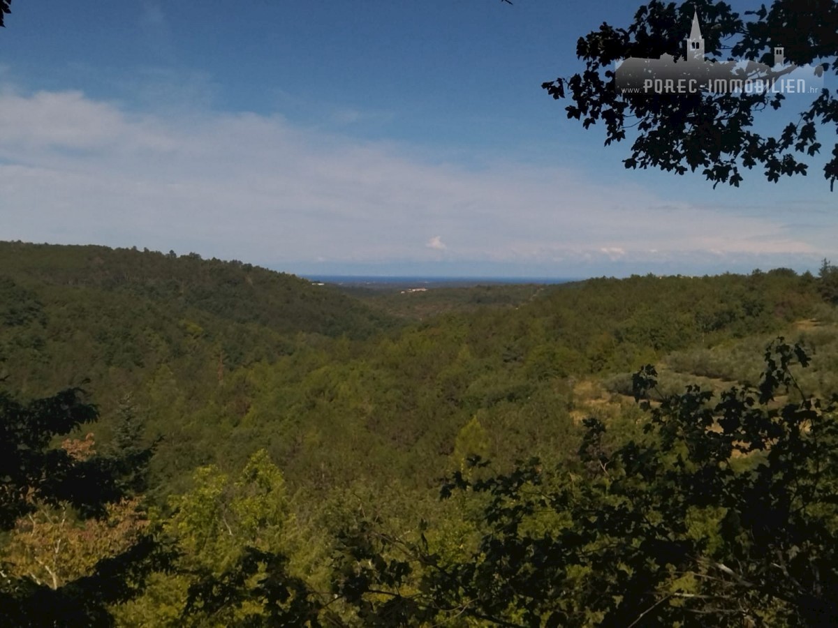 Terreno In vendita - ISTARSKA GROŽNJAN