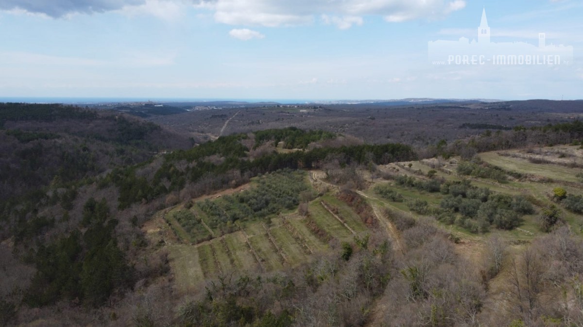 Land For sale - ISTARSKA GROŽNJAN