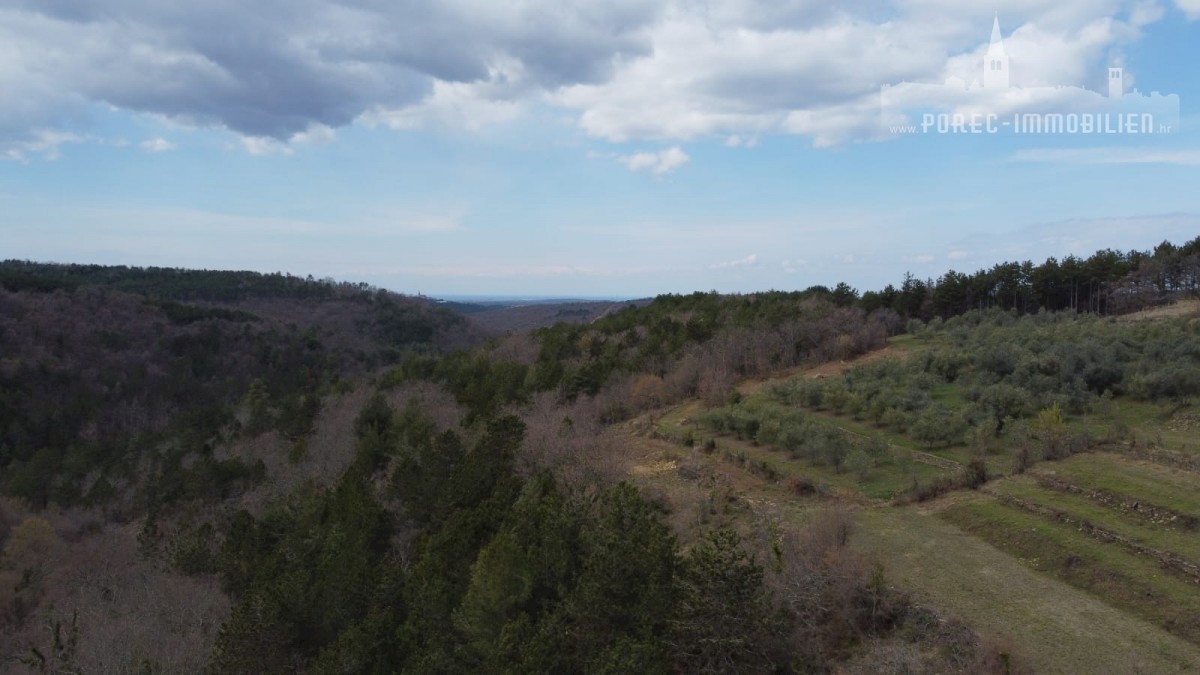 Land For sale - ISTARSKA GROŽNJAN