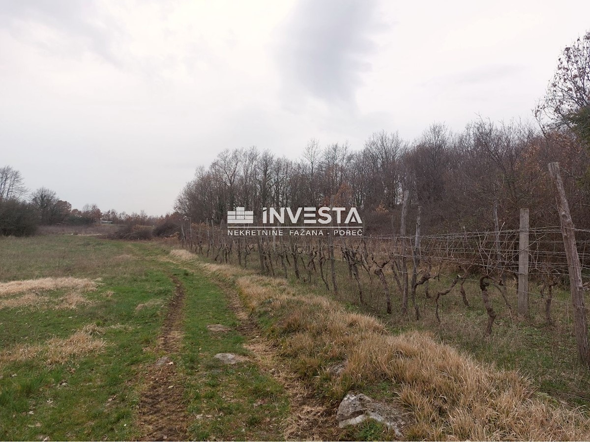 Land For sale - ISTARSKA GRAČIŠĆE