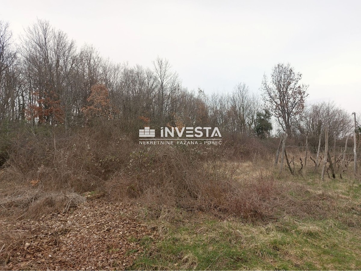 Land For sale - ISTARSKA GRAČIŠĆE