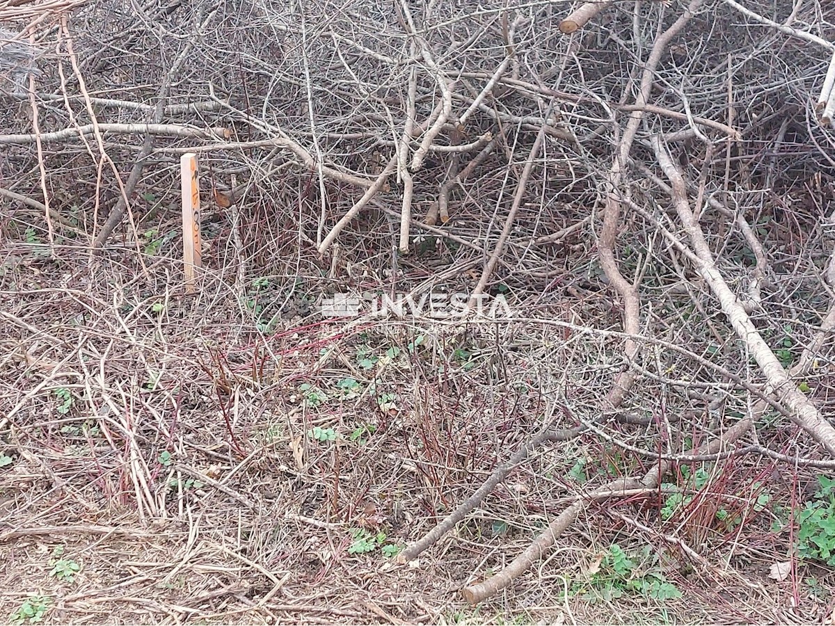 Land For sale - ISTARSKA GRAČIŠĆE