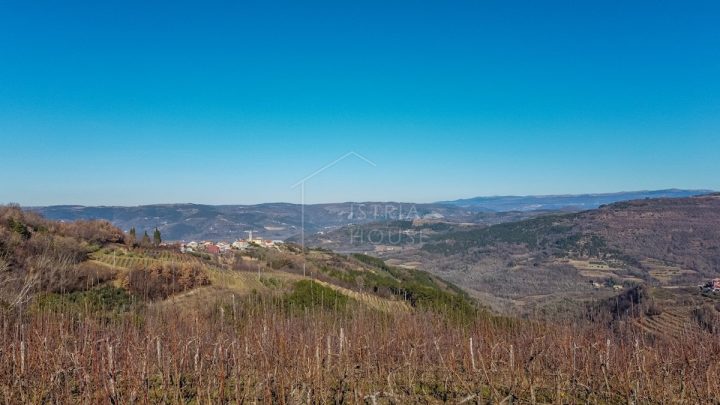 Land for sale 2812 m² – Motovun