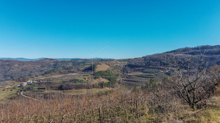 Terreno In vendita - Istarska Motovun - foto 3/6