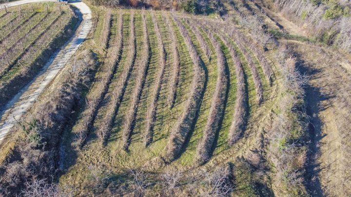 Terreno In vendita - Istarska Motovun - foto 5/6