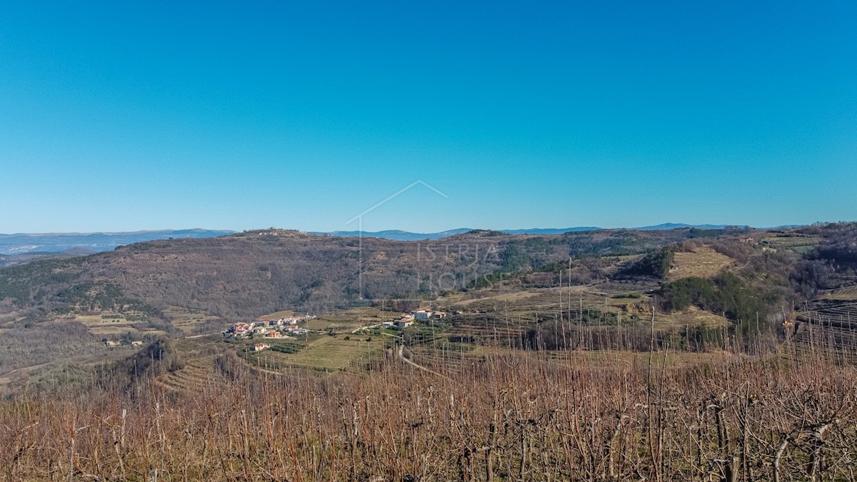 Terrain À vendre - Istarska Motovun - foto 2/6