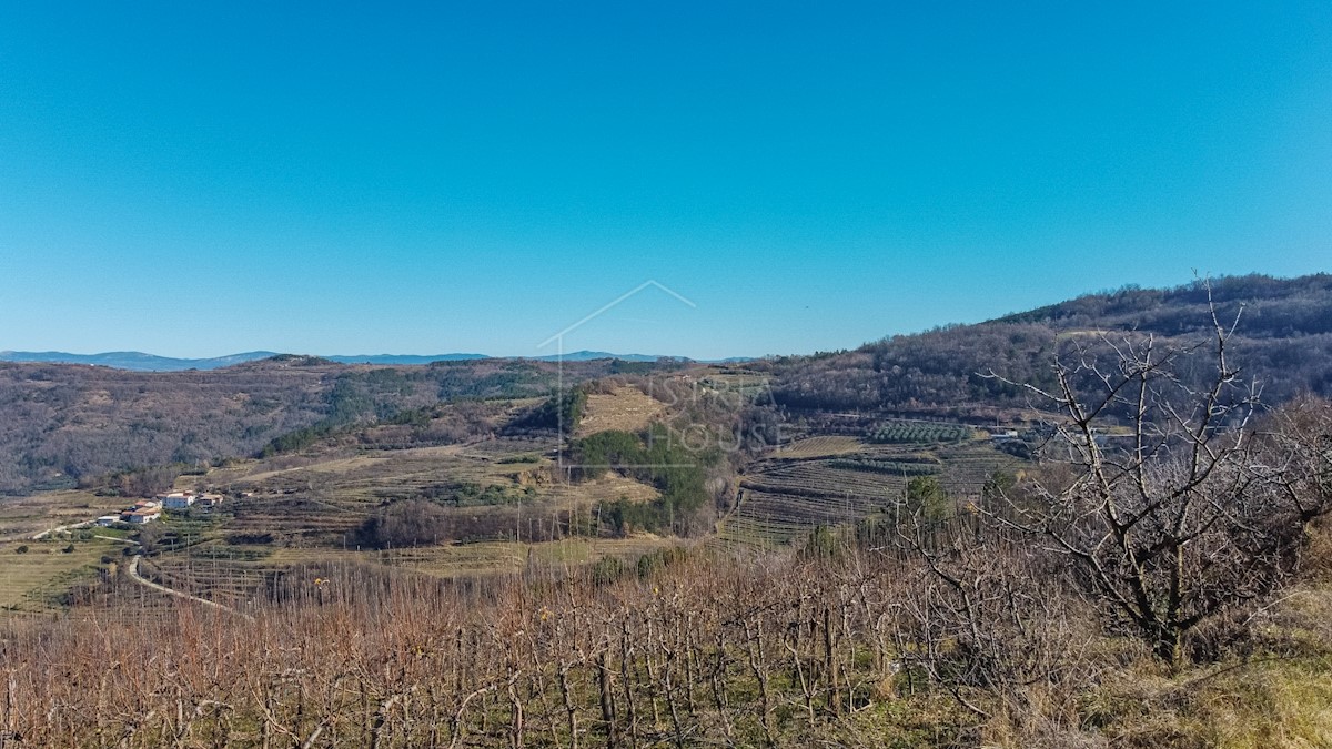 Terrain À vendre - Istarska Motovun - foto 3/6