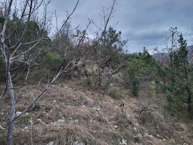 Zemljište na prodaju 37505 m² – Lupoglav