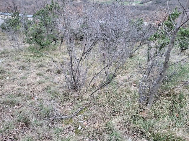 Parcela Na predaj - Istarska Lupoglav - foto 4/4