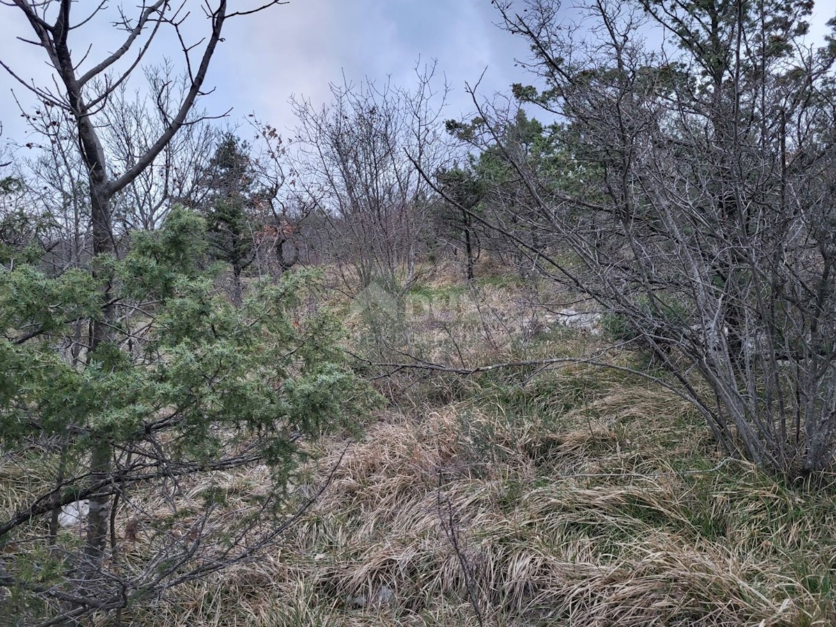 Terreno In vendita - ISTARSKA LUPOGLAV