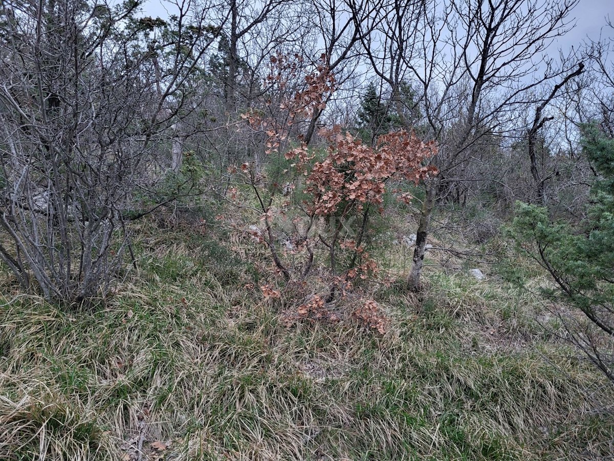 Terreno In vendita - ISTARSKA LUPOGLAV