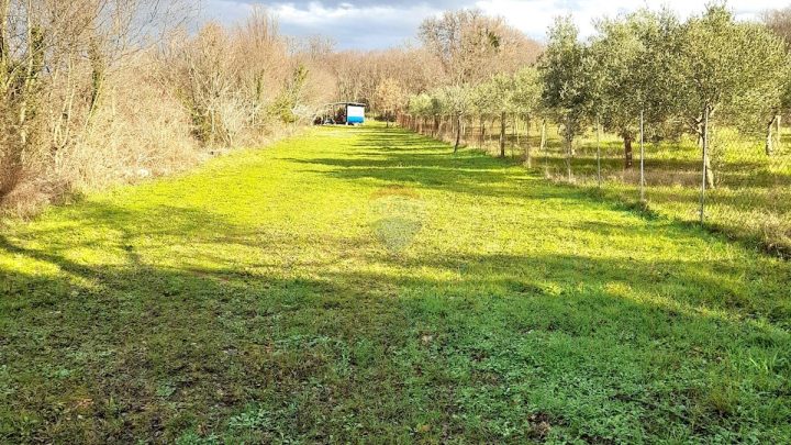 Pozemek na prodej 1052 m² – Linardići
