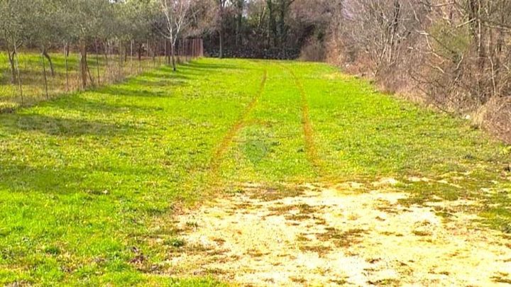 Land For sale - Primorsko-goranska Krk - foto 2/8