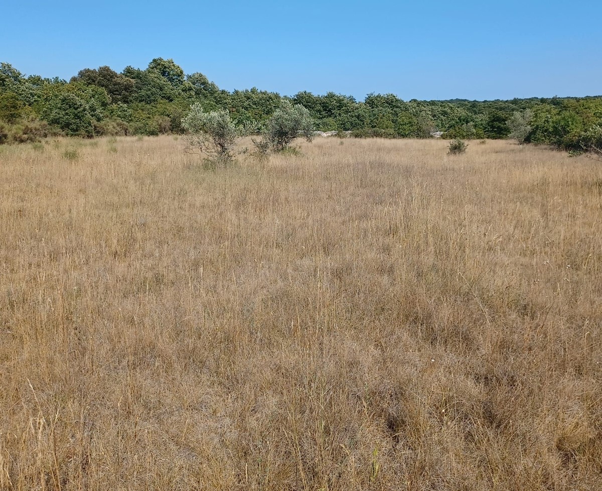 Terrain À vendre