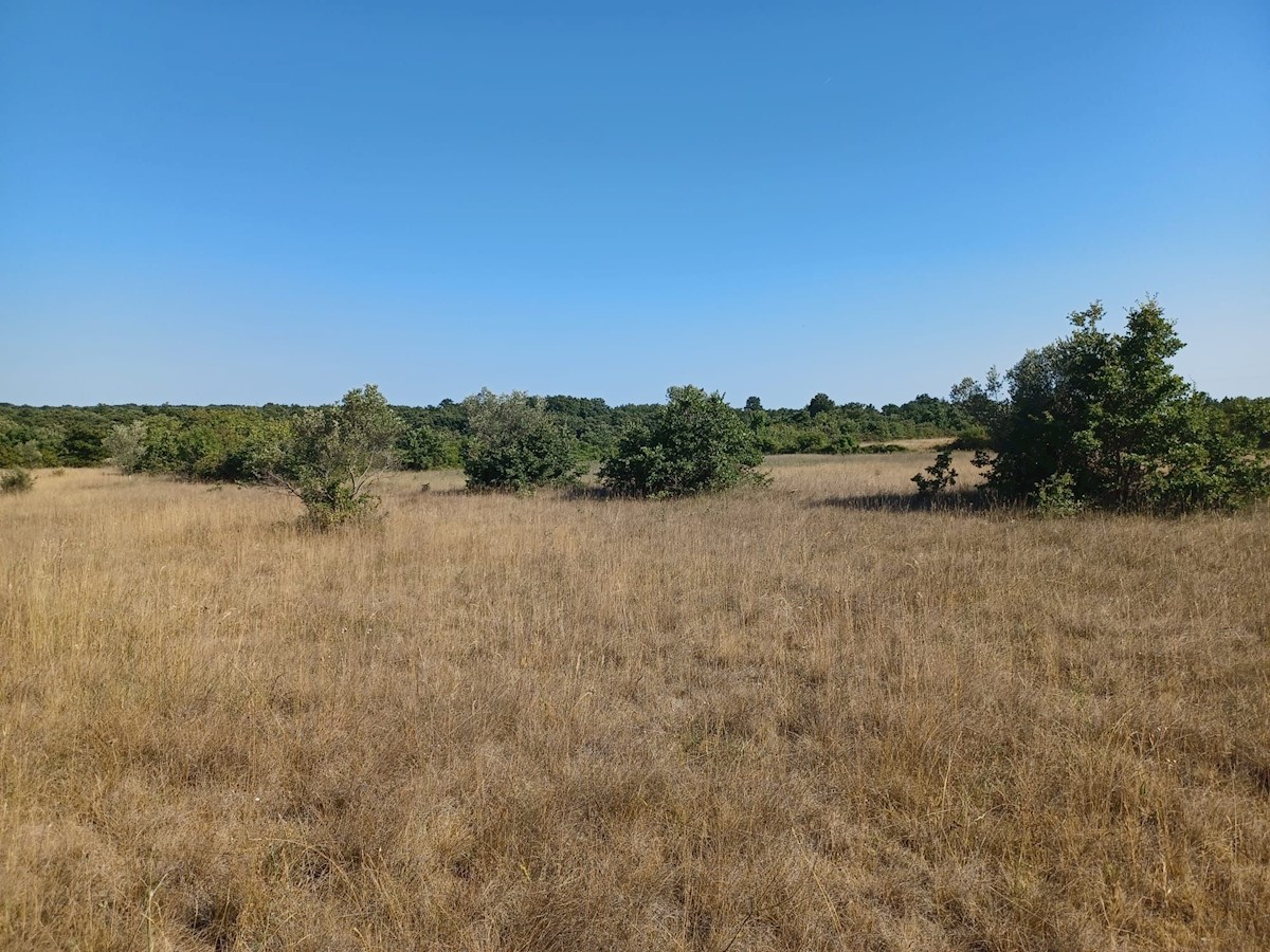 Pozemok Na predaj - ISTARSKA VODNJAN