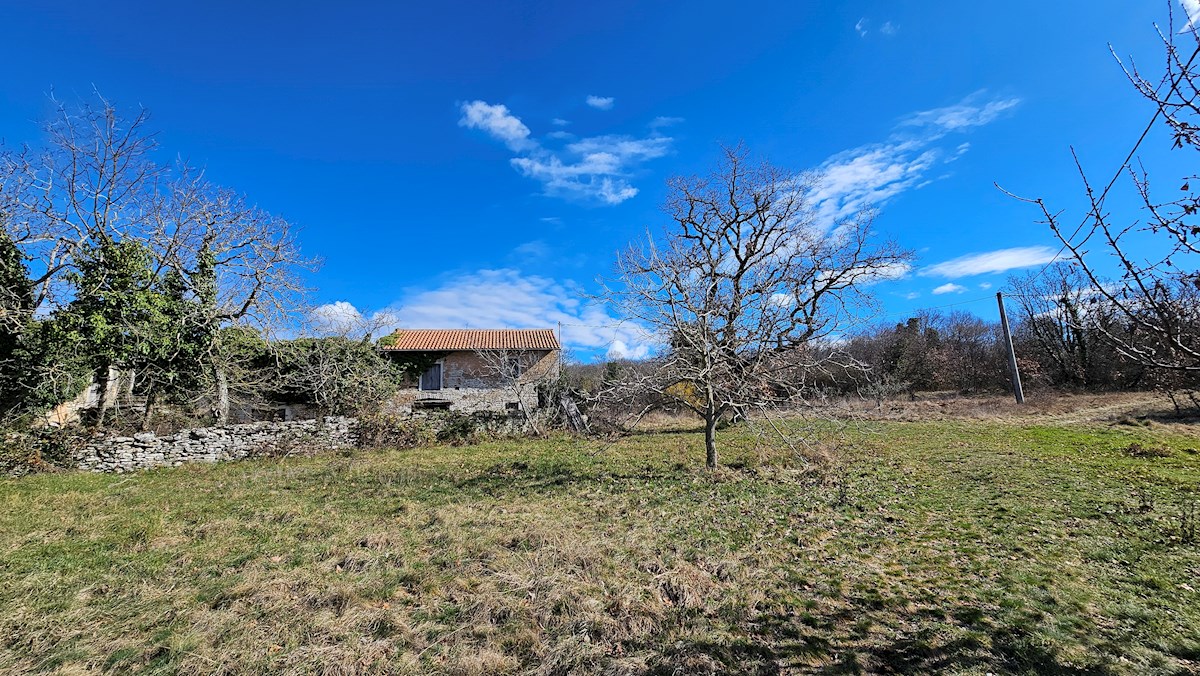 Haus Zu verkaufen - ISTARSKA BUJE