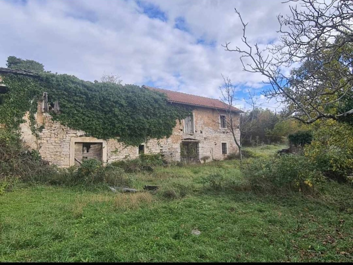 Haus Zu verkaufen - ISTARSKA BUJE