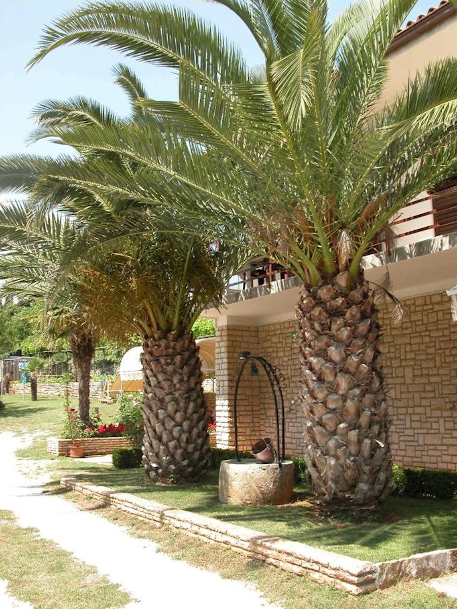Apartmán Na predaj - ISTARSKA Medulin