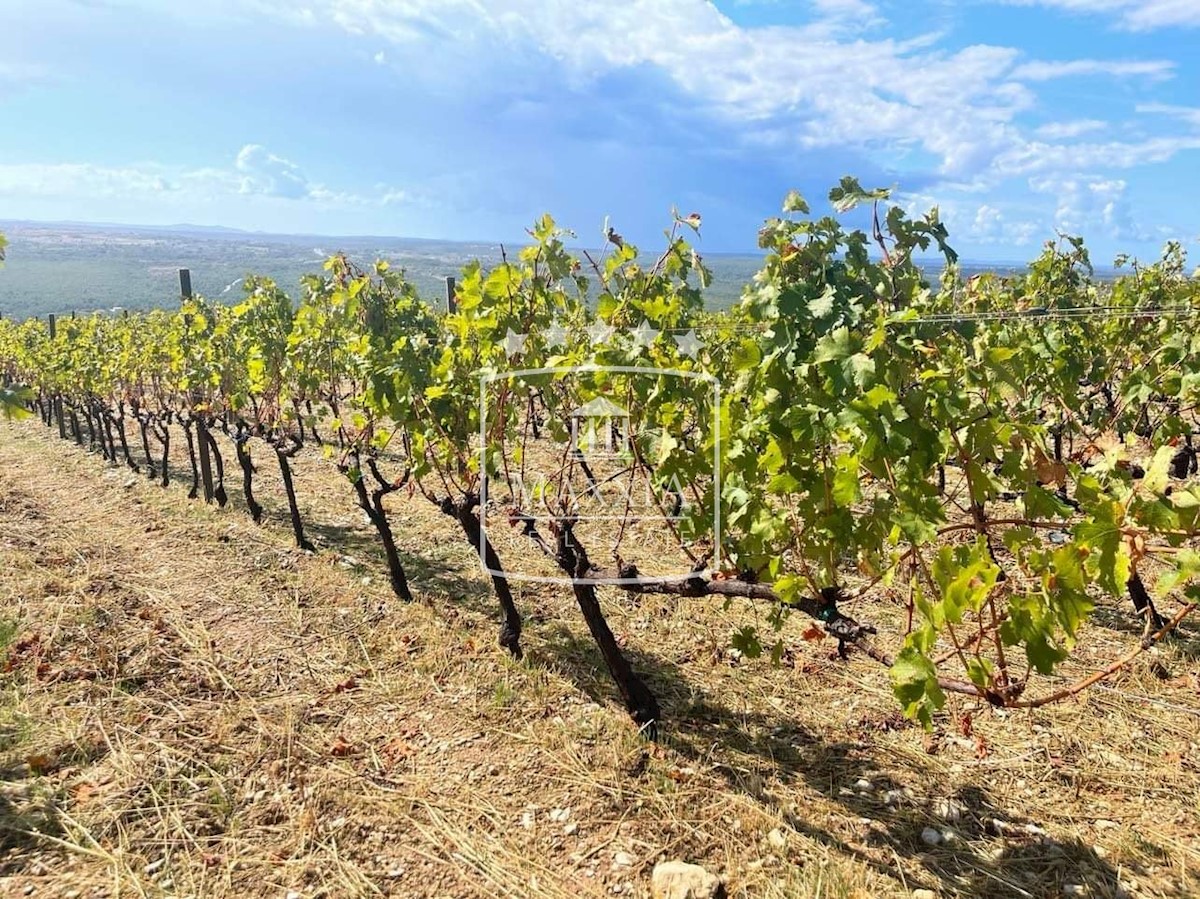 Terreno In vendita - ZADARSKA POSEDARJE