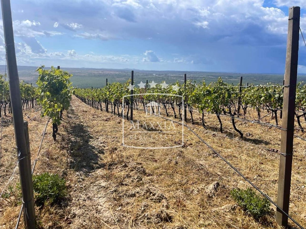 Terreno In vendita - ZADARSKA POSEDARJE