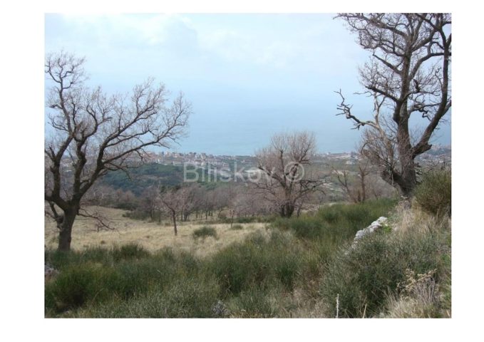 Parcela Naprodaj - Splitsko-dalmatinska Podstrana - foto 5/7