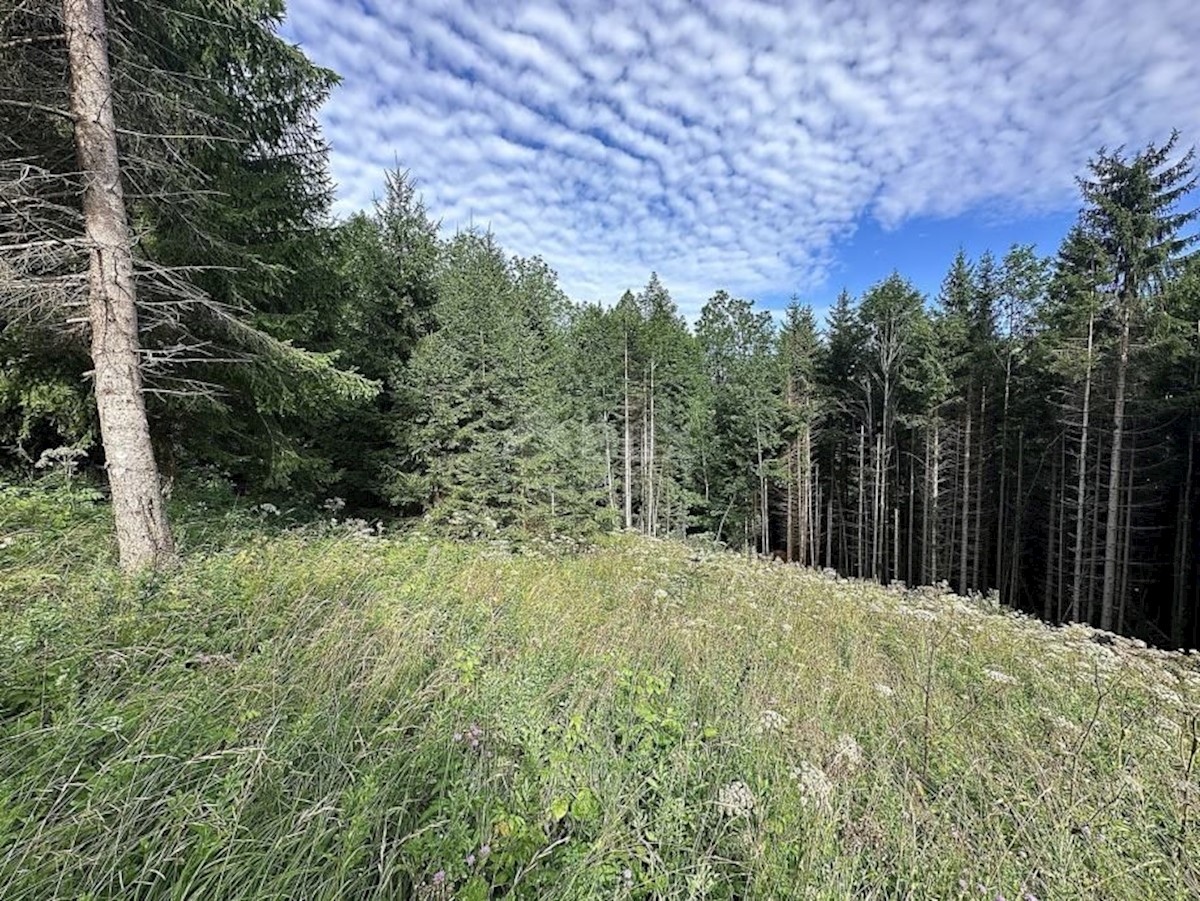 Terreno In vendita - Primorsko-goranska Ravna Gora - foto 4/6