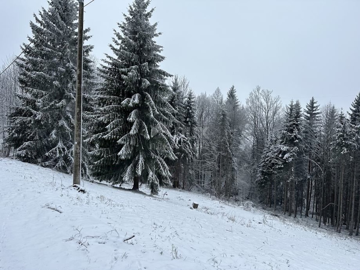 Terreno In vendita - PRIMORSKO-GORANSKA RAVNA GORA