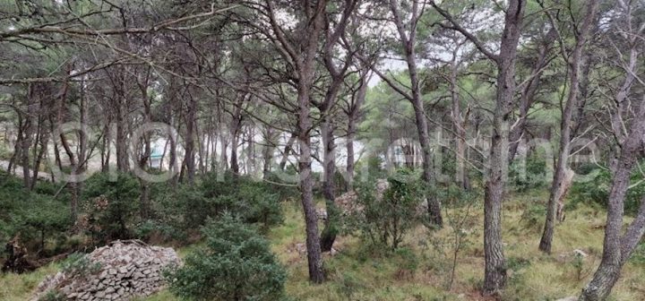 Land For sale - Splitsko-dalmatinska Brač - foto 4/5