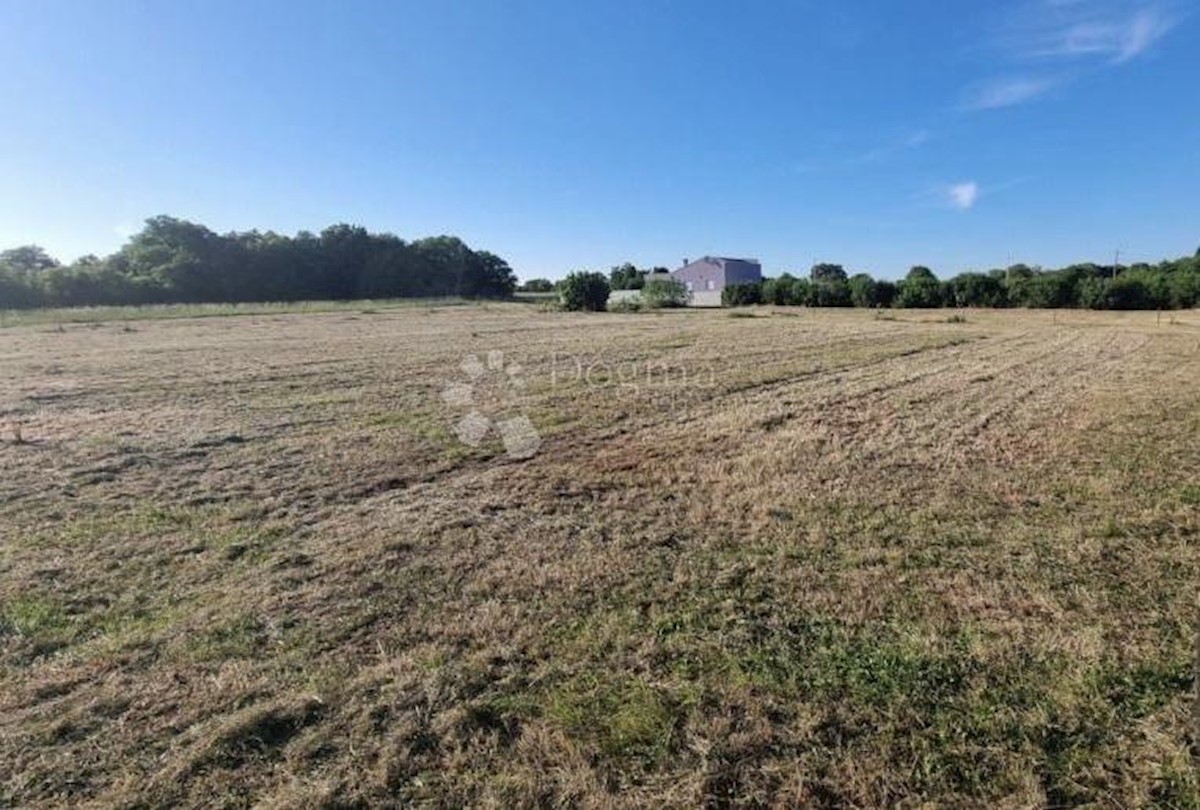 Land For sale - ISTARSKA MARČANA