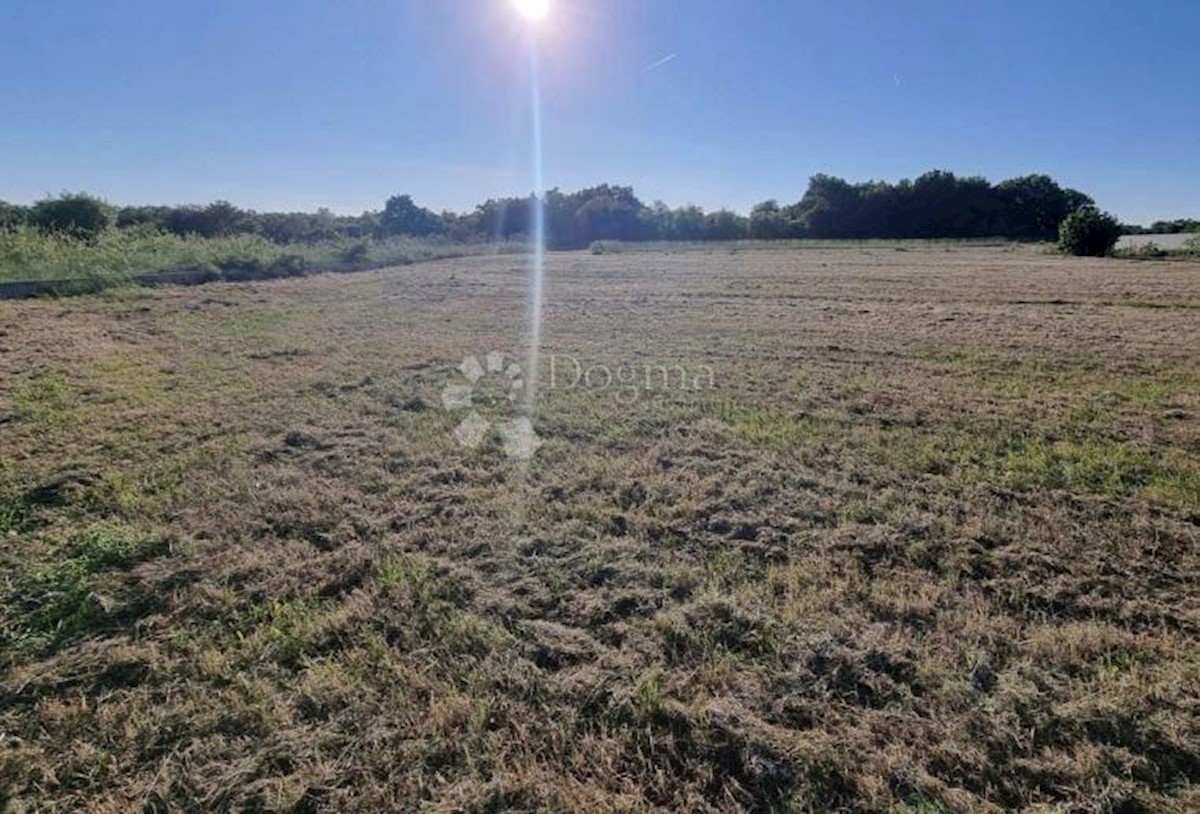 Land For sale - ISTARSKA MARČANA